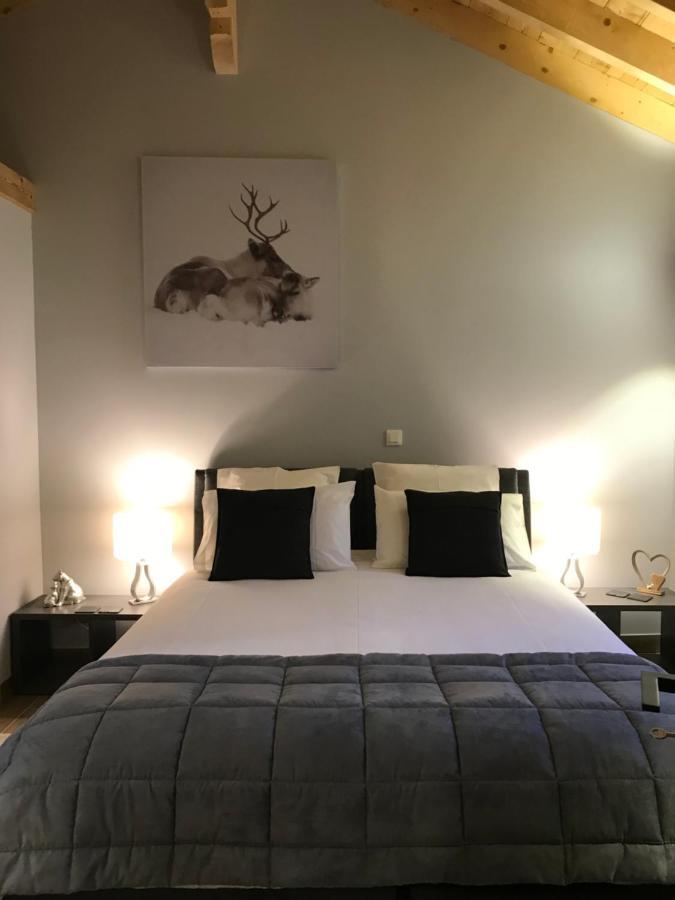 Chalet Barbara With Swimming Pool In The Heart Of Oisans Le Bourg-dʼOisans Buitenkant foto