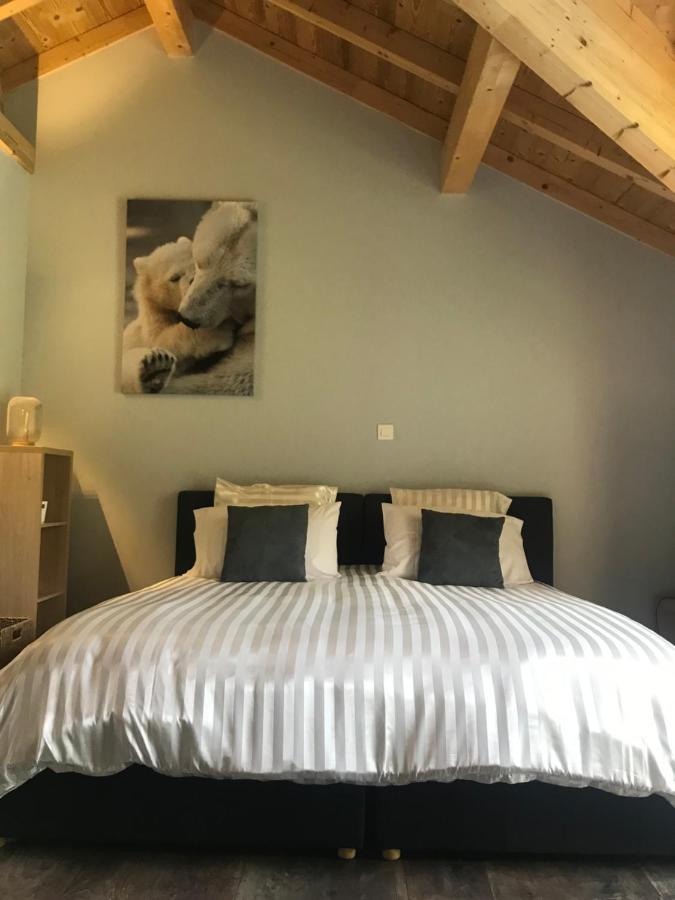 Chalet Barbara With Swimming Pool In The Heart Of Oisans Le Bourg-dʼOisans Buitenkant foto
